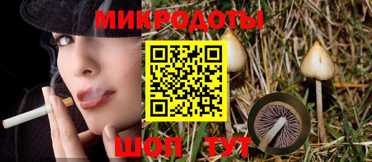 Сосновый Бор  Галлюциногенные грибы GOLDEN TEACHER  Вход с VPN 